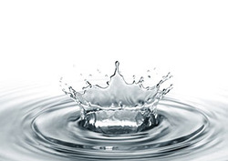 Las fuerzas del agua Instructional Video