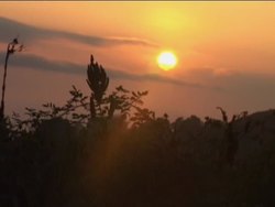 Sun and Stars: Stars Instructional Video