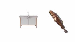 The Story of Frozen Food Instructional Video