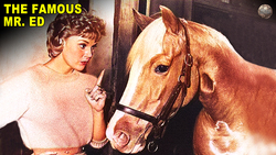 The Strange History of Mr. Ed the Talking Horse Instructional Video
