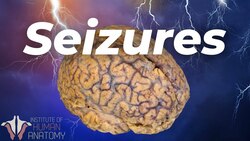 Understanding Seizures: Types, Causes, and Management Instructional Video