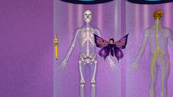 Human body: Systems and Parts Instructional Video