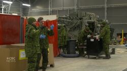 Canada, NATO pledge support for Ukraine amid Russia tensions News Clip