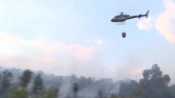 CLEAN : Portugal: fire rages in natural park News Clip
