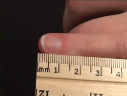 Measuring Length and Temperature: Metric Units of Length Instructional Video