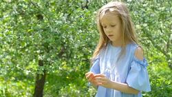 Little girl in blooming apple tree garden on spring day plays with ladybug Stock Footage