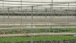 Sustainable Farming: Innovative water conserving farmers Instructional Video