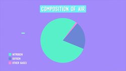 The Great Picnic Mix Up Instructional Video