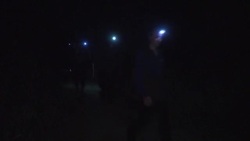 CLEAN : Meet the horseshoe crabs, 'living fossils' whose blood is vital for vaccine safety News Clip