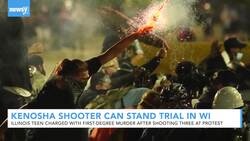 Illinois Judge Rules Teen Can Be Extradited Over Protest Shooting News Clip