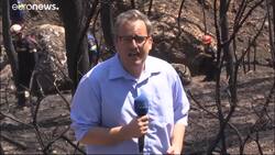 Greece: Search for missing continues News Clip