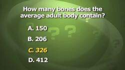 How Many Bones Are in the Body? Instructional Video