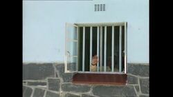 Nelson Mandela visits Robben Island for 4th Anniversary of his release News Clip