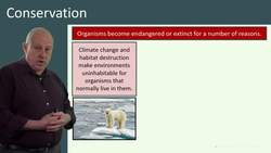 Conservation: Using Our Environment and Resources Sustainably Instructional Video