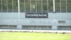 Rat infestation shuts down popular horse racetrack and training facility in Surrey News Clip