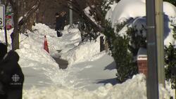 Cleaning up After Winter Storm Jonas News Clip