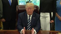 Trump: Chanting supporters 'incredible patriots' Instructional Video