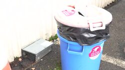 CLEAN : Finnish power companies turn to animal poo for cleaner electricity News Clip