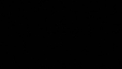 CLEAN : United Nations: launch of 2022 humanitarian response plans for Afghanistan and its region News Clip