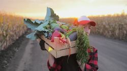 I WONDER - How Does Food Waste Affect The Carbon Footprint? Instructional Video