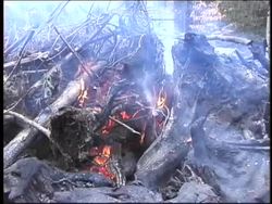 The Nature of Electricity: Lightning and Thunder Instructional Video