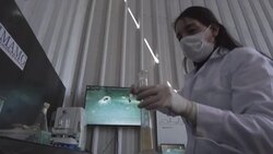 CLEAN : Chile scientist tests "metal-eating" bacteria in hopes of cleaning up mining waste News Clip