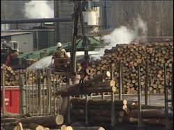 The Rising Costs of Scarce Natural Resources Instructional Video