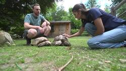 Enjoy unique animal experiences at the Greenburgh Nature Center News Clip