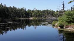 Ecosystems Instructional Video