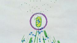 TED-Ed: The genes you don't get from your parents (but can't live without) | Devin Shuman Instructional Video