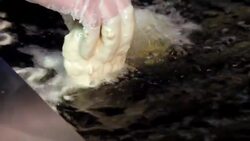 How to Make Deep-Fried Mac & Cheese Instructional Video