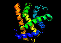 Myoglobin Instructional Video