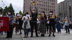 CLEAN : Protest in Tokyo over Myanmar executions News Clip