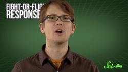 Trouble in Bed: When Sleep Turns Against Us Instructional Video