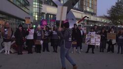 Nursing staff strike outside Birmingham's Queen Elizabeth Hospital News Clip