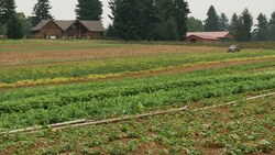 As the Urban Growth Boundary Approaches: A Wary Farmer Notices Instructional Video