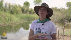 Water in the desert: Restoring wetlands in Baja California News Clip