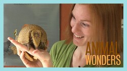 How Do I Do What You Do? Instructional Video