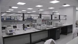 CLEAN : WHO chief hails South Africa's transparency over Omicron variant News Clip