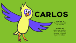 Carlos the parrot Instructional Video