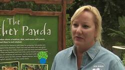 An Inside Look at the Diverse Animals of San Diego Zoo's Panda Trek Instructional Video