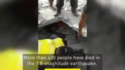 Dog pulled out alive from rubble of Ecuador quake News Clip