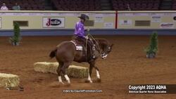 Pictou County born-and-bred horse named Superhorse News Clip