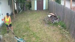 Tall grass and weeds in vacant Winnipeg lots a growing concern News Clip