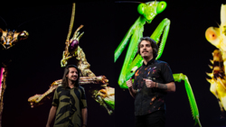 TED: The colorful, shapeshifting wonder of the Amazon's praying mantises | Leo Lanna and Lvcas Fiat Instructional Video