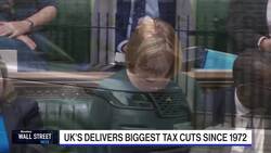 Summers: Fear for UK News Clip