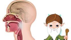 The Nose Instructional Video