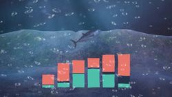 WTO members meeting to decide crucial details of fishing subsidies agreement Instructional Video