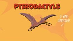 What Are Pterodactyls? Instructional Video