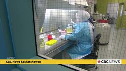 Saskatoon lab's genetic analysis finds COVID-19 originated in animal market News Clip